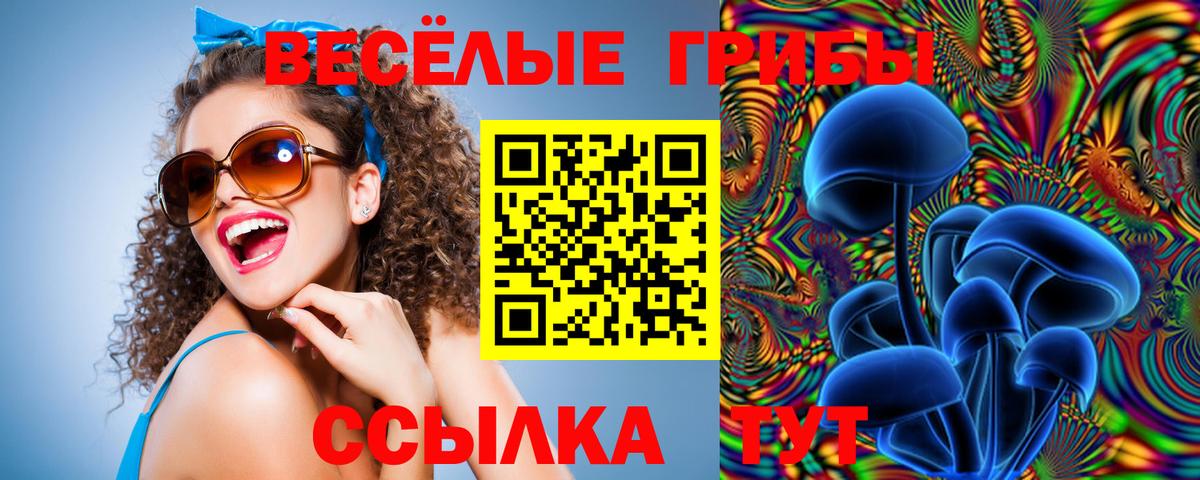 Псилоцибиновые грибы GOLDEN TEACHER Гусев