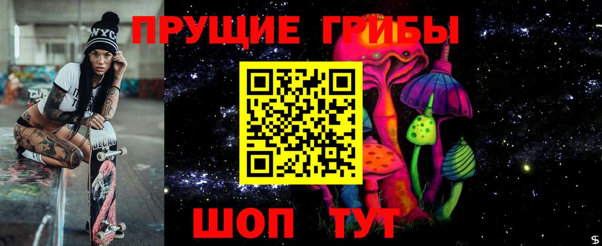 где можно купить наркотик  Галлюциногенные грибы Magic Shrooms  Вход с VPN  Гусев  Псилоцибиновые грибы Cubensis 