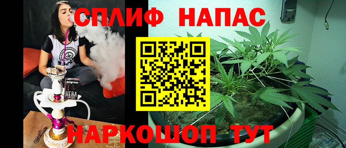 Бошки марихуана конопля Гусев